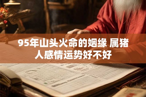 95年山头火命的姻缘 属猪人感情运势好不好