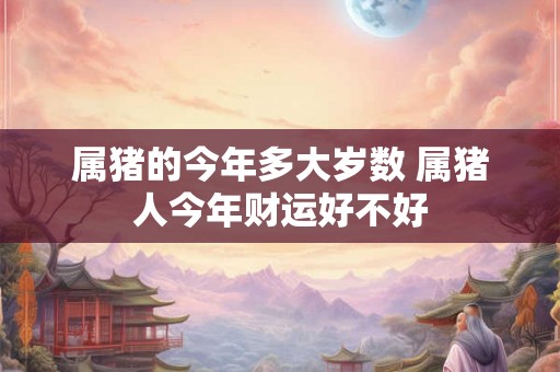 属猪的今年多大岁数 属猪人今年财运好不好