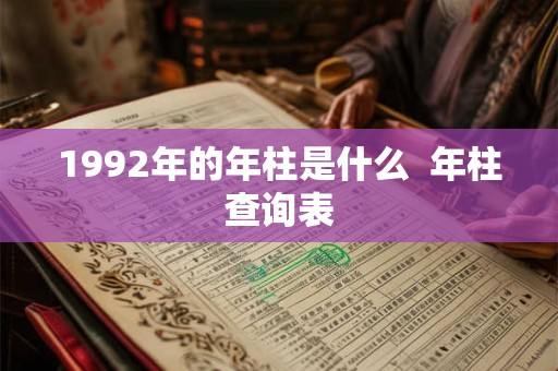 1992年的年柱是什么  年柱查询表