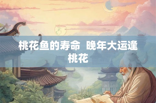 桃花鱼的寿命  晚年大运逢桃花