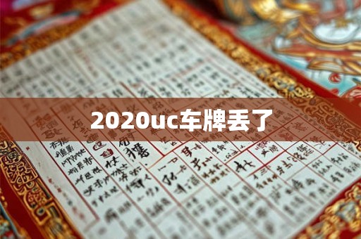 2020uc车牌丢了