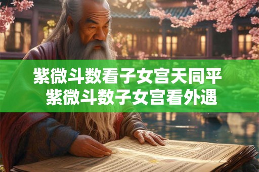 紫微斗数看子女宫天同平  紫微斗数子女宫看外遇
