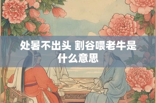 处暑不出头 割谷喂老牛是什么意思 处暑不出头 割谷喂老牛是什么意思