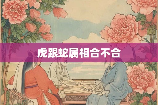 虎跟蛇属相合不合