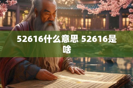 52616什么意思 52616是啥