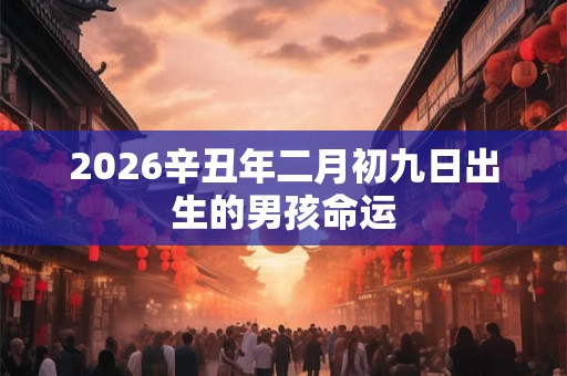 2026辛丑年二月初九日出生的男孩命运 2026辛丑年二月初九日出生的男孩命运