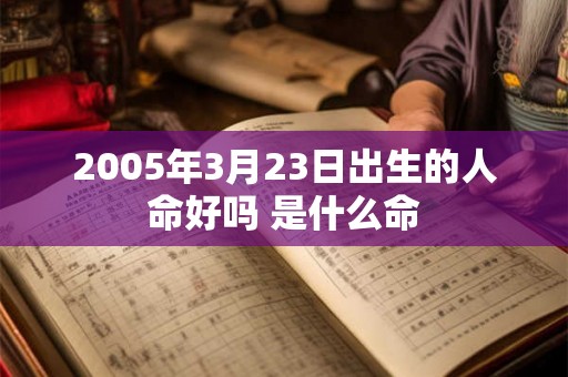 2005年3月23日出生的人命好吗 是什么命 2005年3月23日出生的人命好吗 是什么命