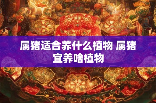 属猪适合养什么植物 属猪宜养啥植物