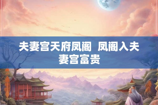 夫妻宫天府凤阁  凤阁入夫妻宫富贵