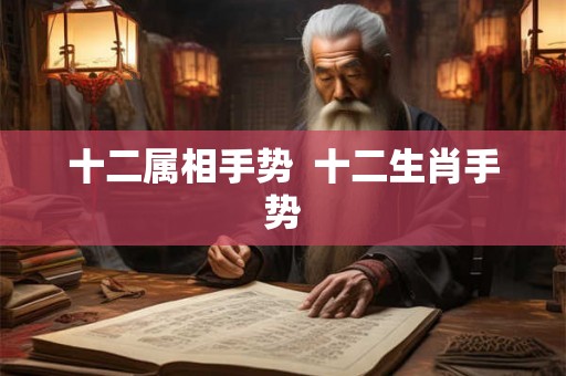 十二属相手势 十二生肖手势 十二属相手势 十二生肖手势