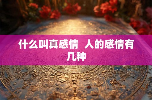什么叫真感情  人的感情有几种