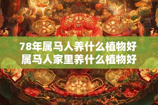 78年属马人养什么植物好 属马人家里养什么植物好