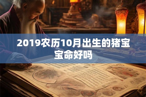2019农历10月出生的猪宝宝命好吗 2019农历10月出生的猪宝宝命好吗