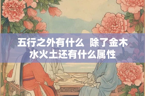 五行之外有什么  除了金木水火土还有什么属性