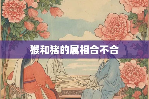 猴和猪的属相合不合