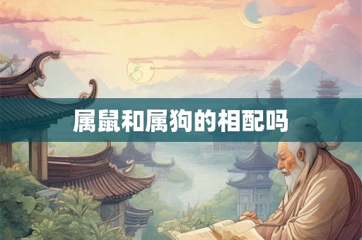 属鼠和属狗的相配吗