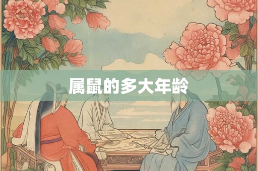 属鼠的多大年龄