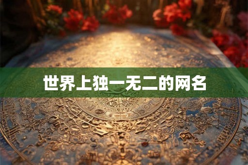 世界上独一无二的网名 世界上独一无二的网名