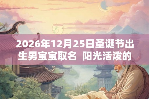 2026年12月25日圣诞节出生男宝宝取名  阳光活泼的男孩名字