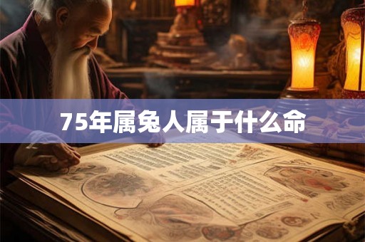75年属兔人属于什么命