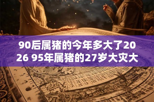 90后属猪的今年多大了2026 95年属猪的27岁大灾大难