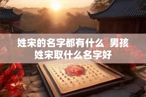 姓宋的名字都有什么  男孩姓宋取什么名字好