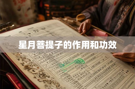 星月菩提子的作用和功效
