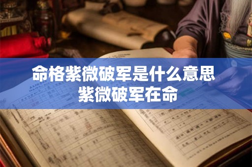 命格紫微破军是什么意思  紫微破军在命