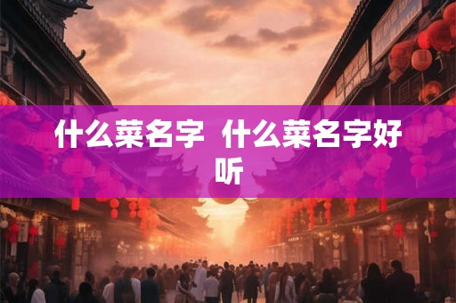 什么菜名字 什么菜名字好听 什么菜名字 什么菜名字好听