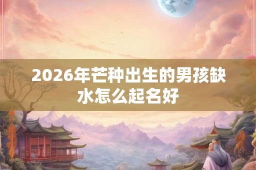 2026年芒种出生的男孩缺水怎么起名好