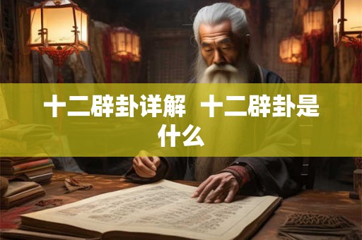 十二辟卦详解  十二辟卦是什么
