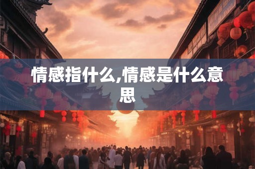 情感指什么,情感是什么意思