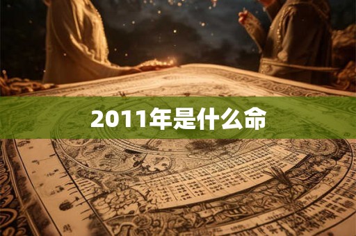 2011年是什么命 2011年是什么命