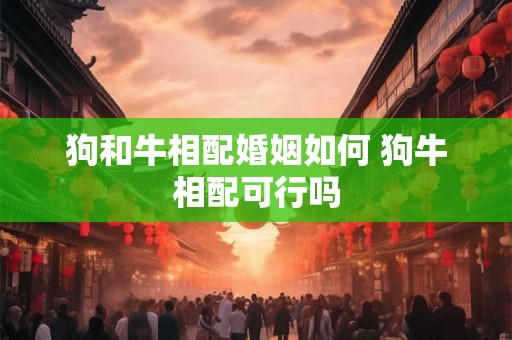 狗和牛相配婚姻如何 狗牛相配可行吗 狗和牛相配婚姻如何 狗牛相配可行吗