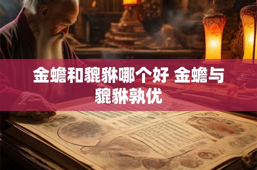 金蟾和貔貅哪个好 金蟾与貔貅孰优