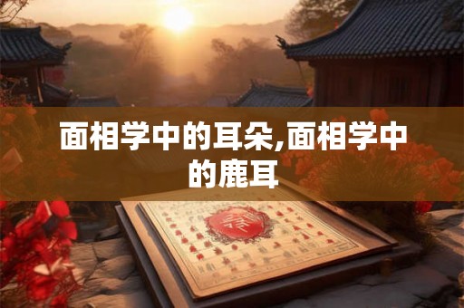 面相学中的耳朵,面相学中的鹿耳