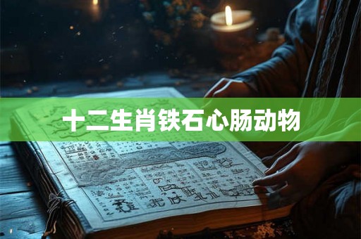 十二生肖铁石心肠动物 十二生肖铁石心肠动物