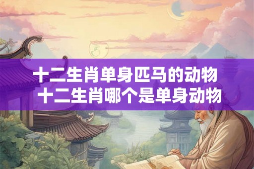 十二生肖单身匹马的动物  十二生肖哪个是单身动物