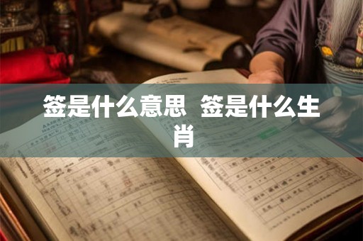 签是什么意思  签是什么生肖