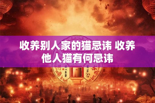 收养别人家的猫忌讳 收养他人猫有何忌讳