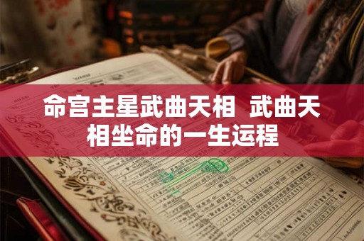 命宫主星武曲天相  武曲天相坐命的一生运程
