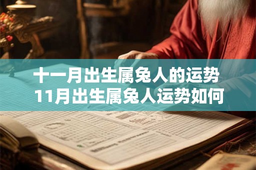 十一月出生属兔人的运势 11月出生属兔人运势如何