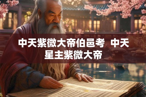 中天紫微大帝伯邑考 中天星主紫微大帝 中天紫微大帝伯邑考 中天星主紫微大帝