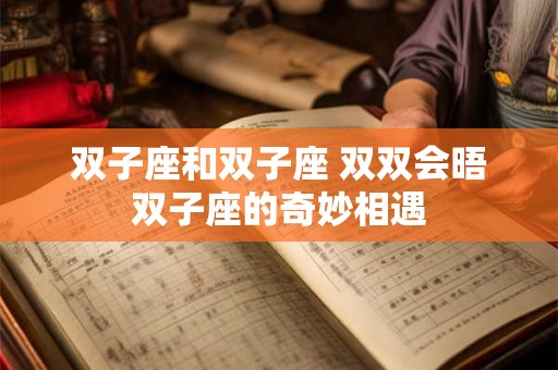 双子座和双子座 双双会晤双子座的奇妙相遇 双子座和双子座 双双会晤双子座的奇妙相遇