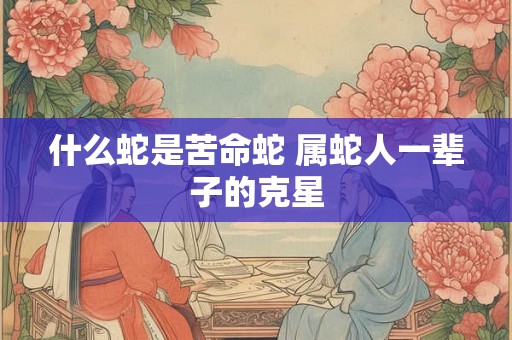 什么蛇是苦命蛇 属蛇人一辈子的克星