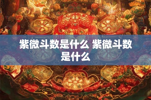 紫微斗数是什么 紫微斗数是什么