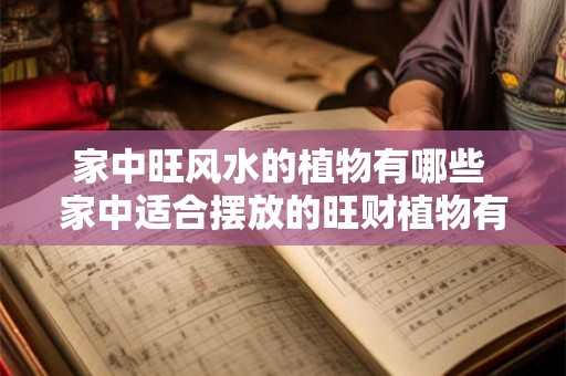 家中旺风水的植物有哪些 家中适合摆放的旺财植物有哪些 家中旺风水的植物有哪些 家中适合摆放的旺财植物有哪些
