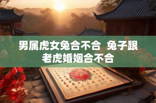 男属虎女兔合不合 兔子跟老虎婚姻合不合 男属虎女兔合不合 兔子跟老虎婚姻合不合
