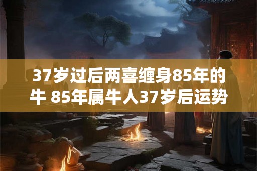 37岁过后两喜缠身85年的牛 85年属牛人37岁后运势