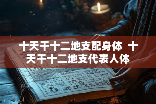 十天干十二地支配身体 十天干十二地支代表人体 十天干十二地支配身体 十天干十二地支代表人体